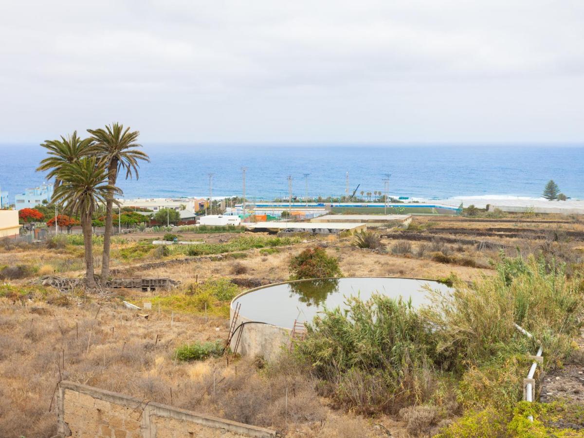 Live La Punta Center Leilighet Punta Del Hidalgo Eksteriør bilde